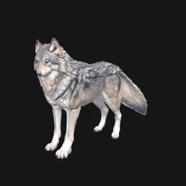 Grey wolf standing side-on, generated by BAC